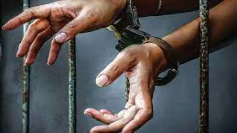 फतेहपुर में सीओ की गाड़ी के बोनट पर रील्स बनाते तीन युवक गिरफ्तार