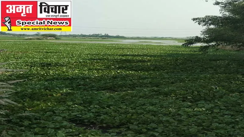 रायबरेली: नौ करोड़ का बजट हुआ लापता, किसानों की जमीनों के लिए अभिशाप बनीं बकुलाही झील!