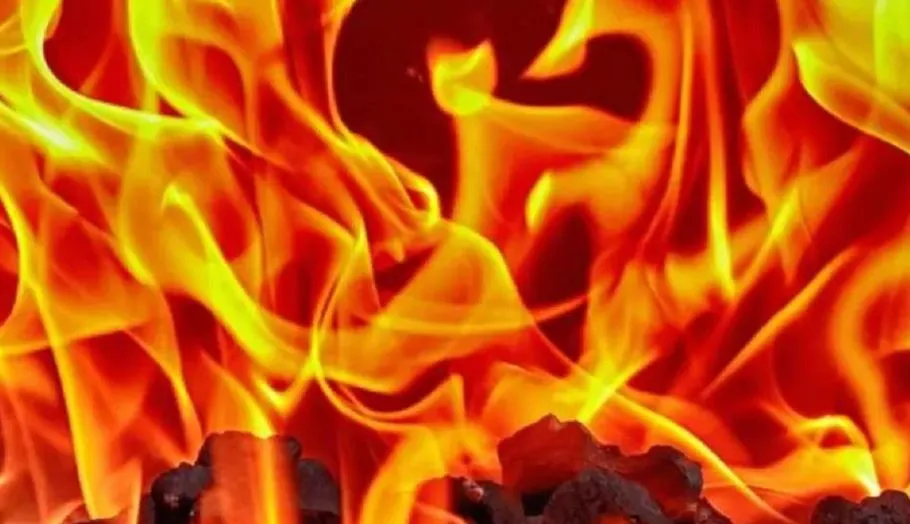 पीलीभीत: ग्रामीण की पशुशाला में लगी आग, तीन साल की बच्ची झुलसी, हालत गंभीर