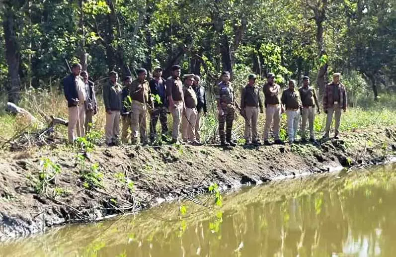 पीलीभीत :बाघ संरक्षण के दावे, पुराने हथियार, अधूरा स्टाफ..सुरक्षा कर रहे ग्रीन सोलजर्स!