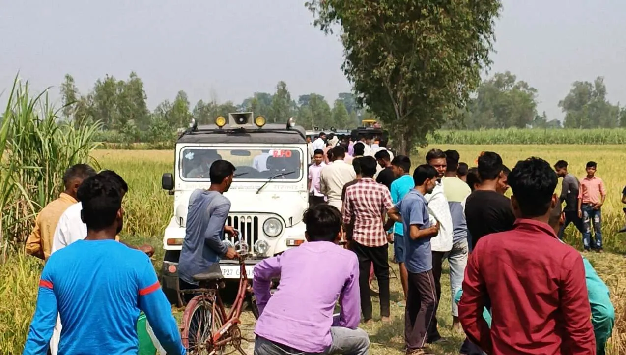 पीलीभीत : बाघ का मूवमेंट जानने गए और नए डीएफओ को झेलना पड़ा ग्रामीणों का विरोध, जानिए फिर क्या हुआ