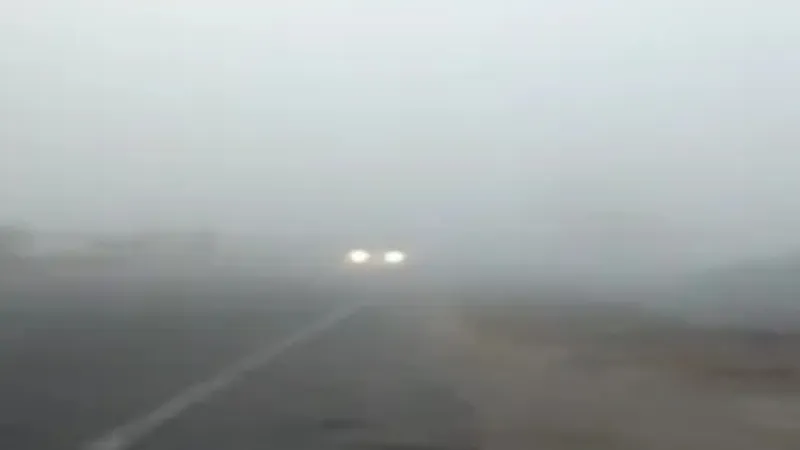 अम्बेडकरनगर में धने कोहरे से जनजीवन अस्त व्यस्त, तापमान में आई गिरावट Video