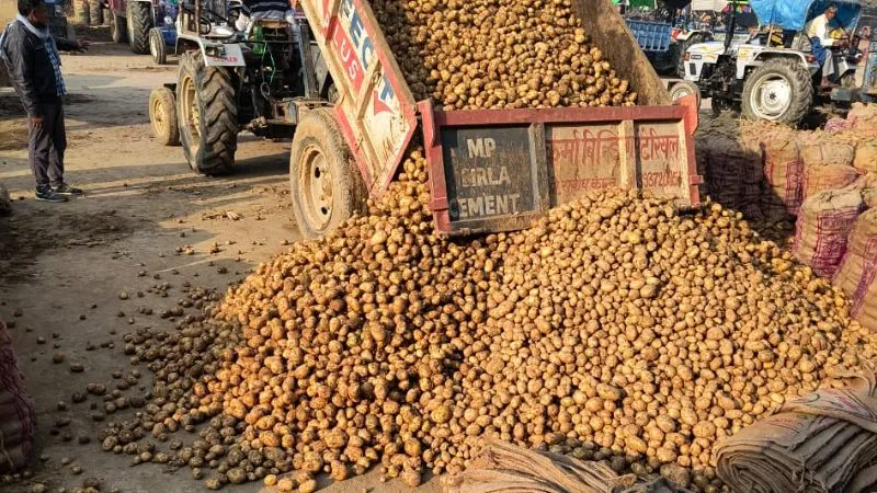 Farrukhabad से Assam भेजा जाएगा 21 हजार कुंतल आलू, किसान और व्यापारियों ने मिल कर बुक कर बाई 42 डिब्बे की रैक