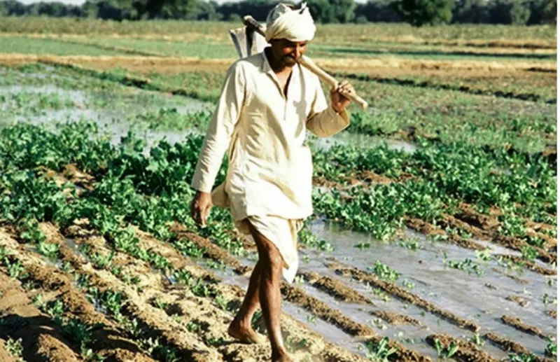 नैनीताल: पहाड़ों में मौसम का तेवर देख काश्तकारों की चिन्ता बढ़ी 
