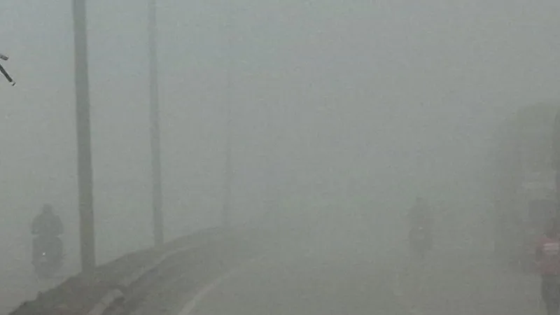 प्रयागराज में कोहरे की दस्तक, रफ्तार पर लगा ब्रेक, रेंगते रहे वाहन 