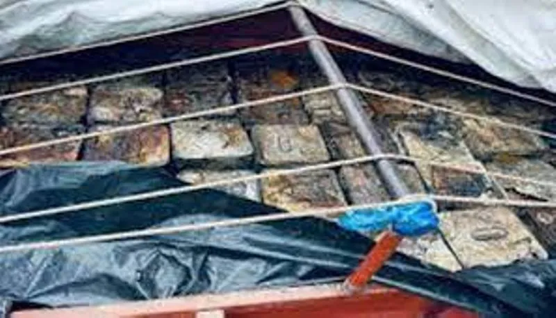 हल्द्वानी: 270 टिन लीसा लेकर जा रहा वाहन सीज