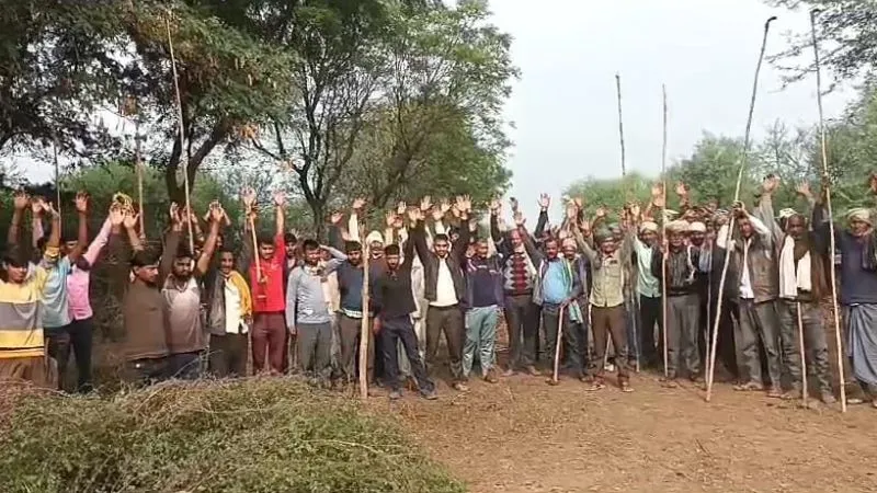 Etawah: छुट्टा गौवंशों से परेशान किसानों ने किया प्रदर्शन, बोले-  दो साल से अपने पास से खिला रहे चारा, नहीं मिली कोई मदद