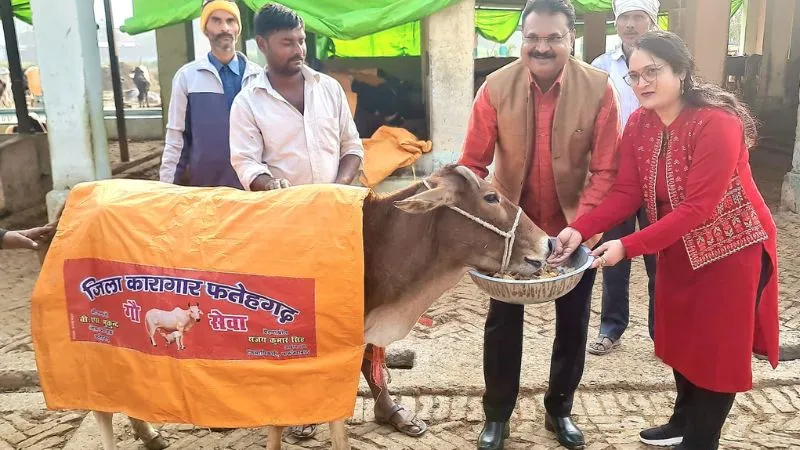 Farrukhabad: अटल बिहारी वाजपेई के जन्मदिन पर 100 गायों को पहनाये कोट, गुण चना खिला जेलाधीक्षक ने सपत्नीक गायों की की सेवा
