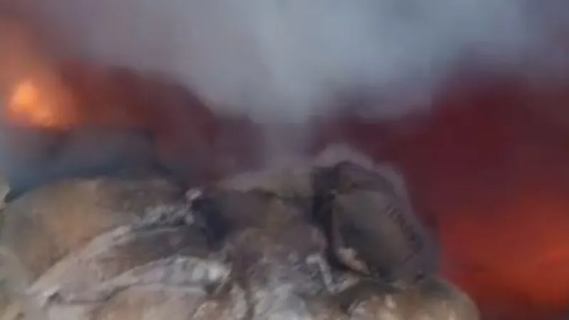 Kanpur Fire: शार्ट सर्किट से मसाला फैक्ट्री में लगी भीषण आग… दमकल कर्मियों ने पाया काबू