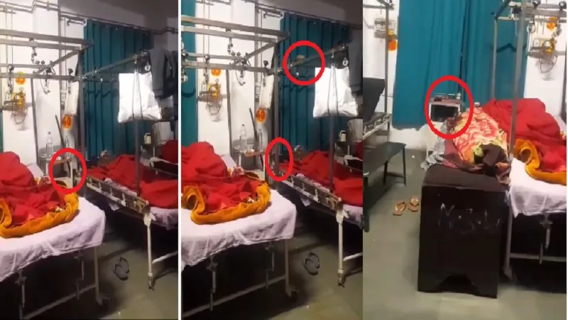 रामपुर : जिला अस्पताल के आर्थोपेडिक वार्ड में चूहे का वीडियो वायरल, प्रशासन ने सुपरवाइजर को दी चेतावनी
