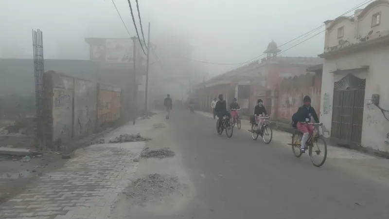 संभल: घने कोहरे में वाहनों की रफ्तार पर लगा ब्रेक, ठिठुरा जनमानस