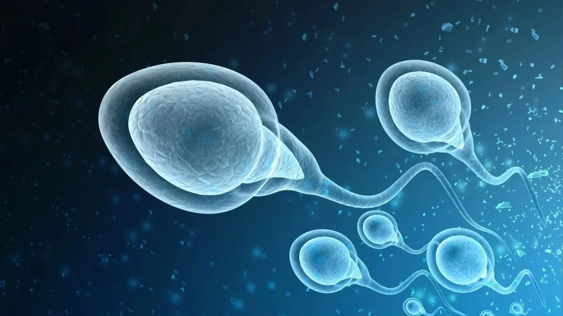 पुरुषों से अंडाणु-महिलाओं से शुक्राणु : स्टेम कोशिका विज्ञान कैसे हमारे प्रजनन को बदल सकता है, यहां जानें