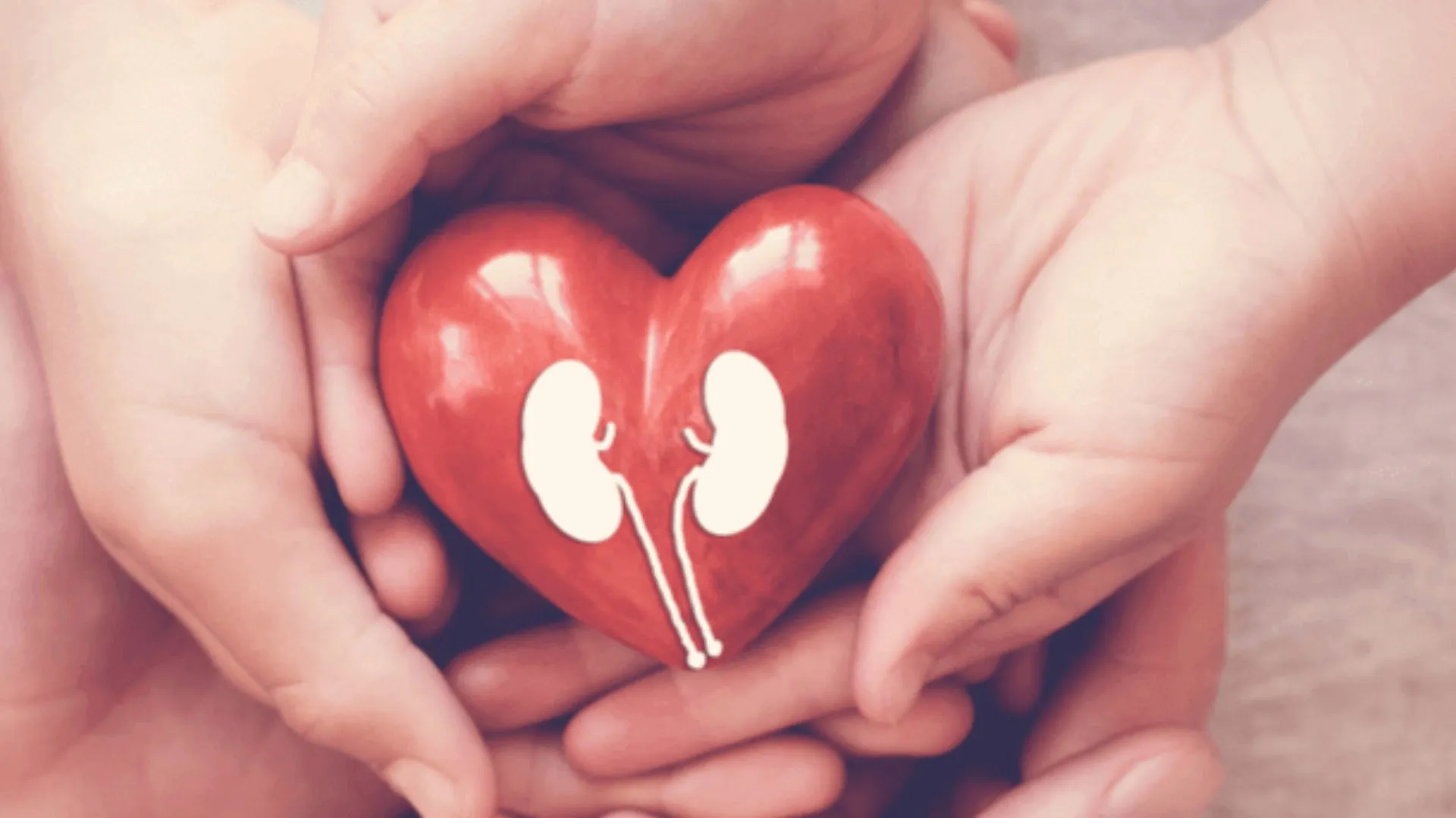 नेफ्रोकेयर किडनी के इलाज के लिए मार्च 2026 तक खोलेगी 22 केंद्र 