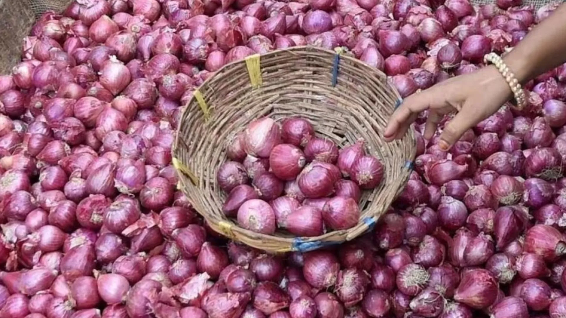 जनवरी 2024 तक सस्ता हो सकता है प्याज, सरकार को उम्मीद 40 रुपये प्रति किलोग्राम से नीचे पहुंचेगा भाव