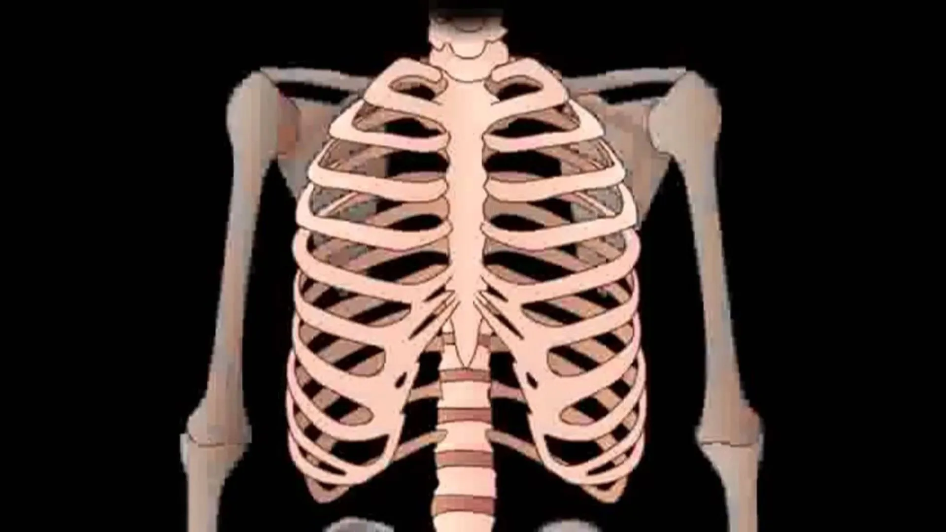 शाहजहांपुर: ईदगाह रोड पर गड्ढे में मिले अस्थि पंजर, इलाके में मचा हड़कंप