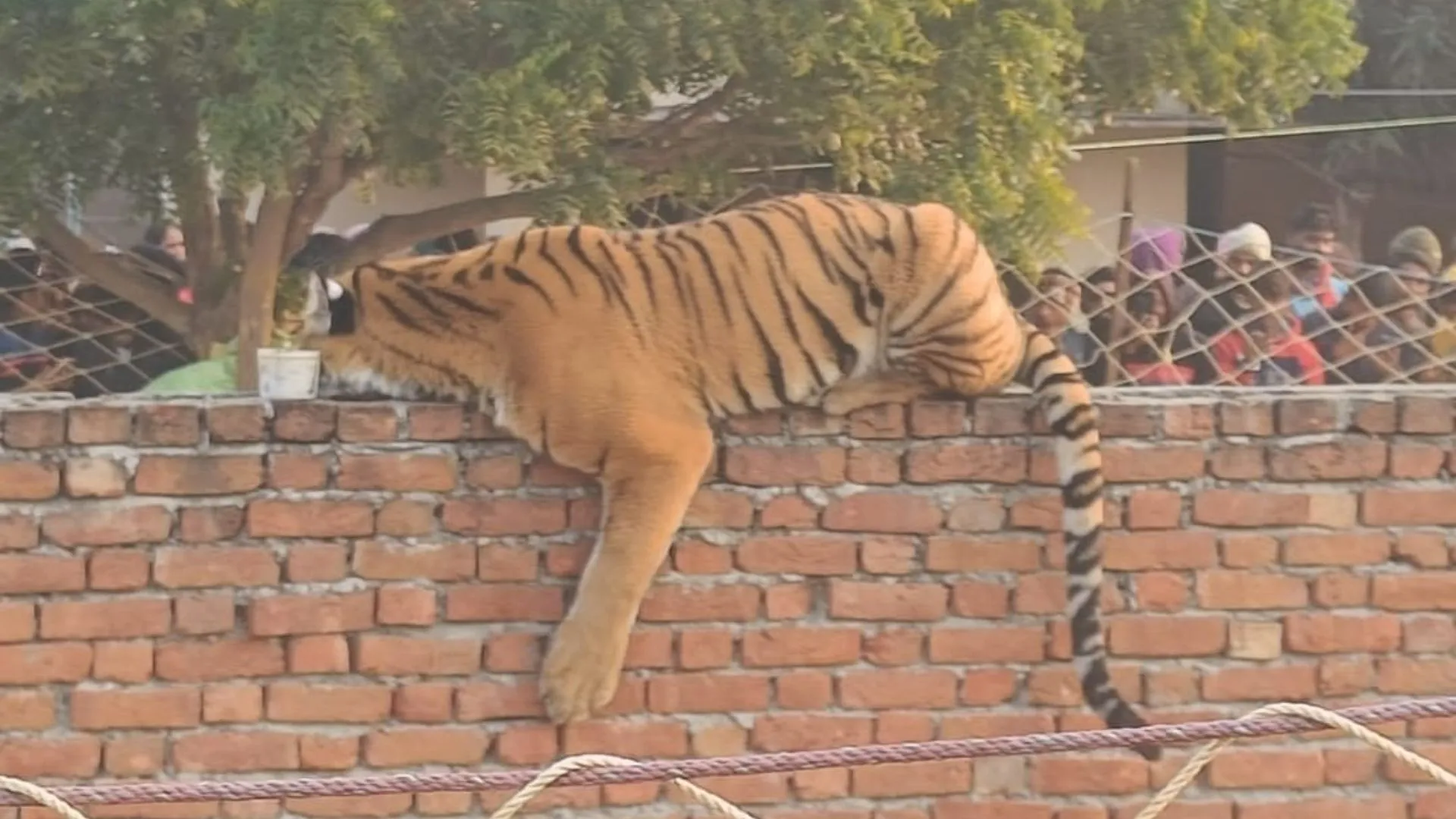 image demo - 2023-12-26T105438.023