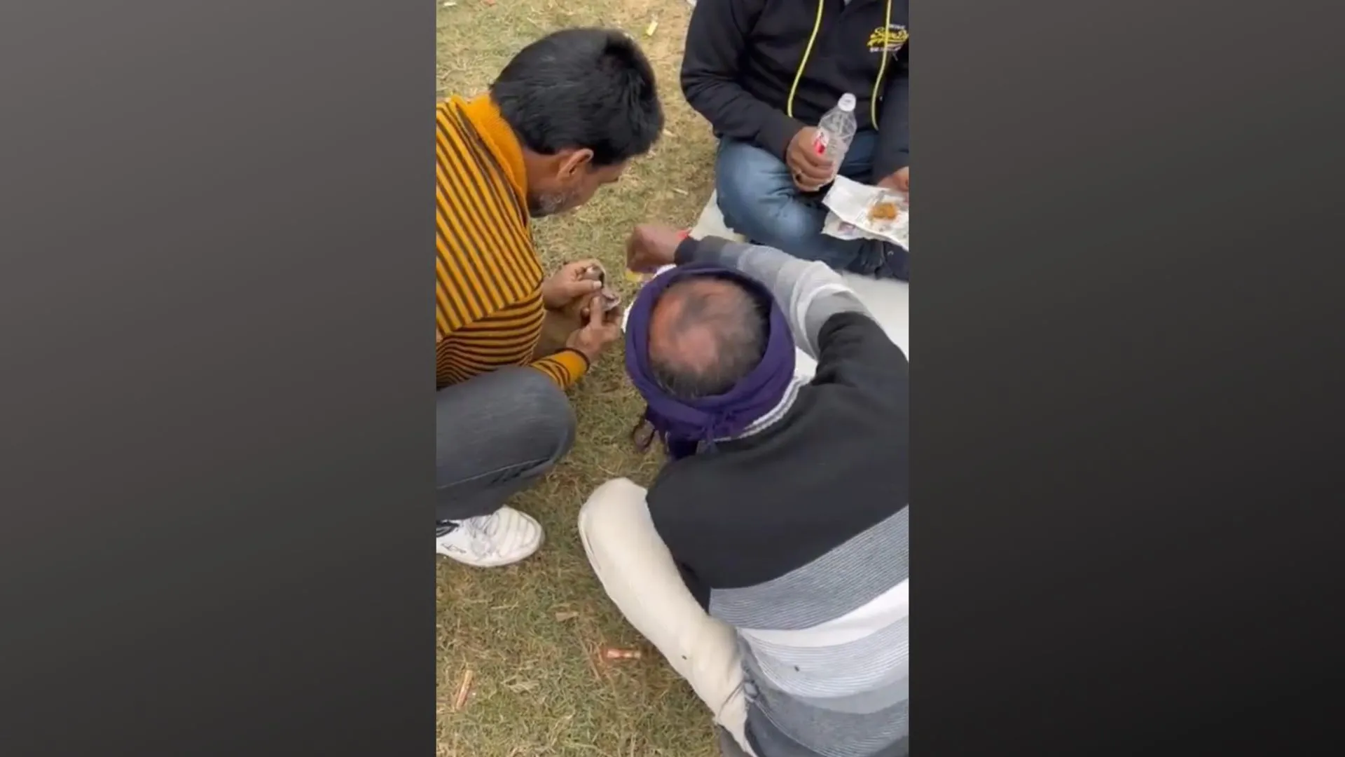 बरेली: शराबियों ने पिल्ले को जबरन पिलाई शराब, वीडियो हुआ वायरल