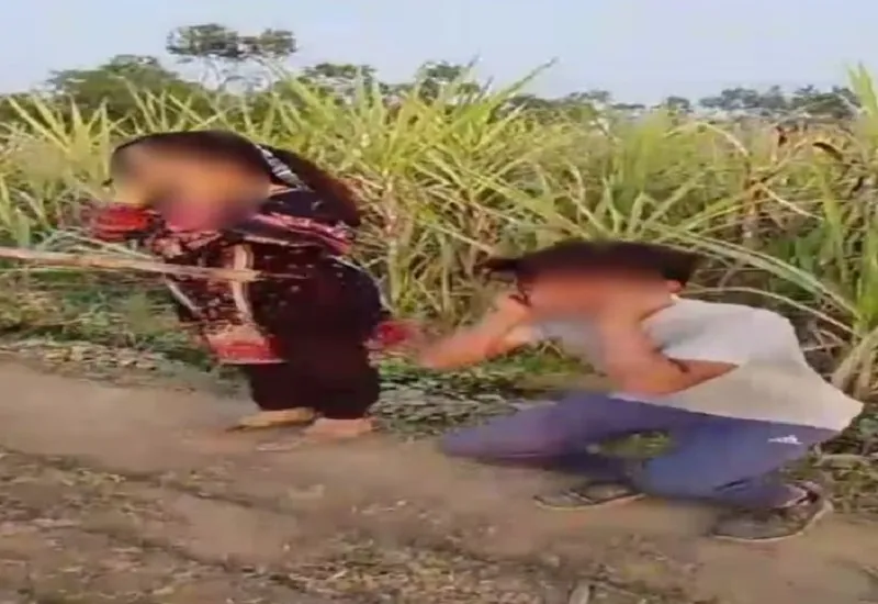 बिजनौर : गन्ने के खेत में प्रेमी युगल को पकड़ा, फिर युवकों ने पीटा...कान पकड़वाकर उठक बैठक भी लगवाई 