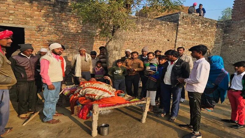 संभल: पशुशाला में जलकर मरी नौ बकरियां, पशुपालक झुलसा