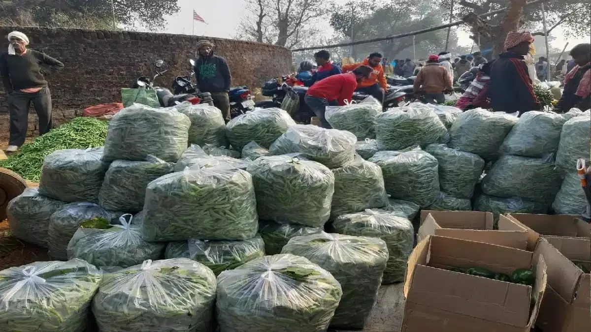    वाराणसी : डबल इंजन की सरकार की नीति से किसानों की आय में लगातार हो रही वृद्धि 