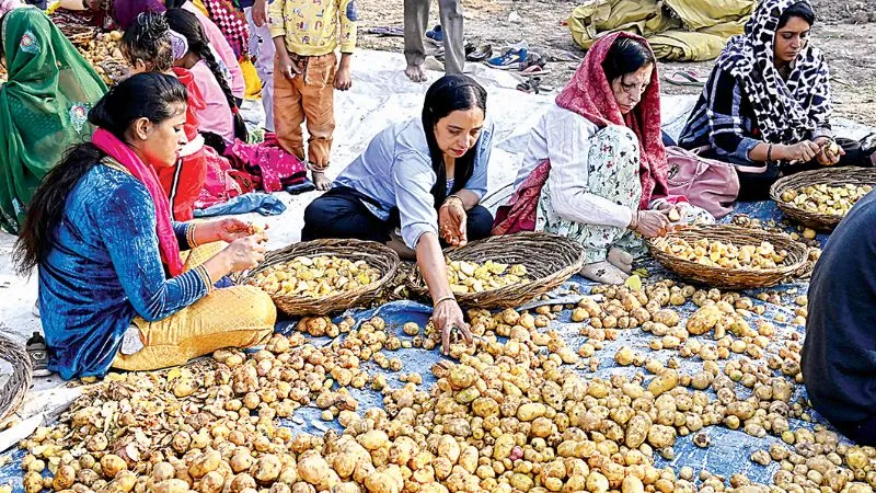 Kanpur News: गुरु तेग बहादुर शहीदी दिवस पर आज दो लाख श्रद्धालु छकेंगे लंगर… मोतीझील में भक्ति की बहेगी बयार 