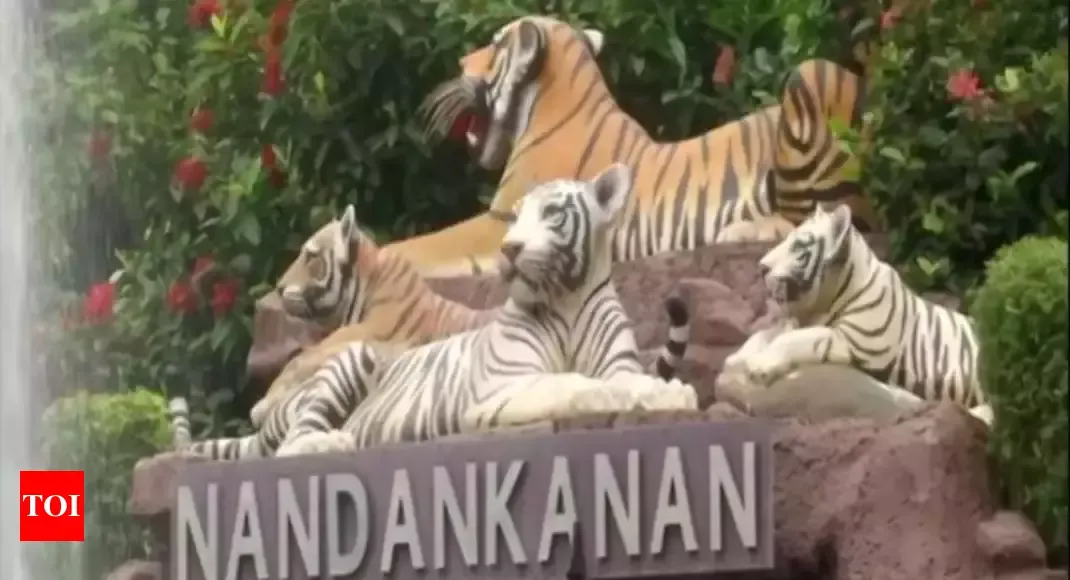 ओडिशा: नंदनकानन चिड़ियाघर में दुबई से लाए जाएंगे शेर, चीते और अन्य जीव जंतु