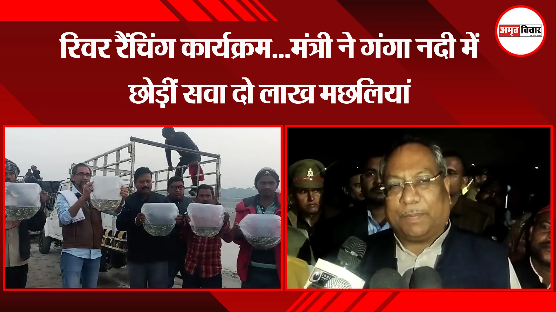 उन्नाव: रिवर रैंचिंग कार्यक्रम...मंत्री ने गंगा नदी में छोड़ीं सवा दो लाख मछलियां