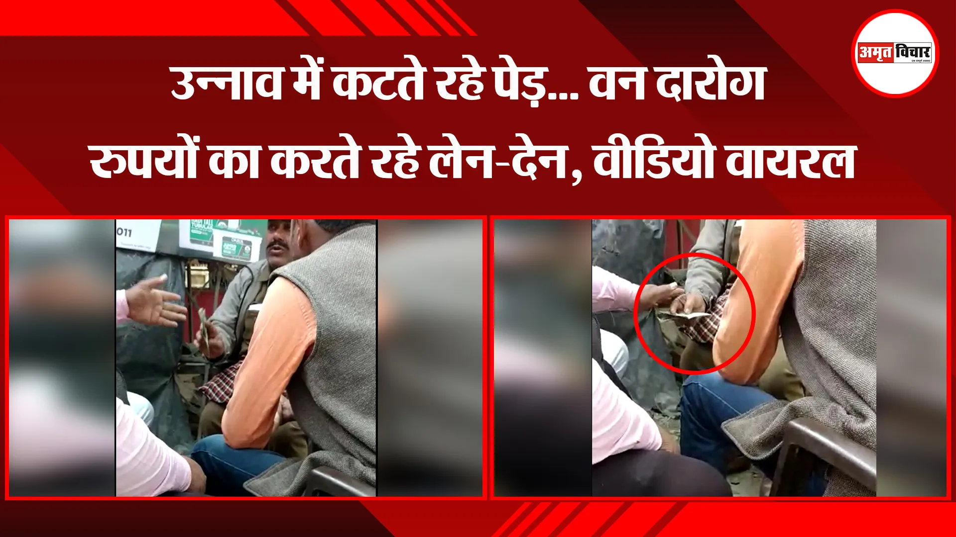 उन्नाव में कटते रहे पेड़... वन दारोगा रुपयों का करते रहे लेन-देन, वीडियो वायरल