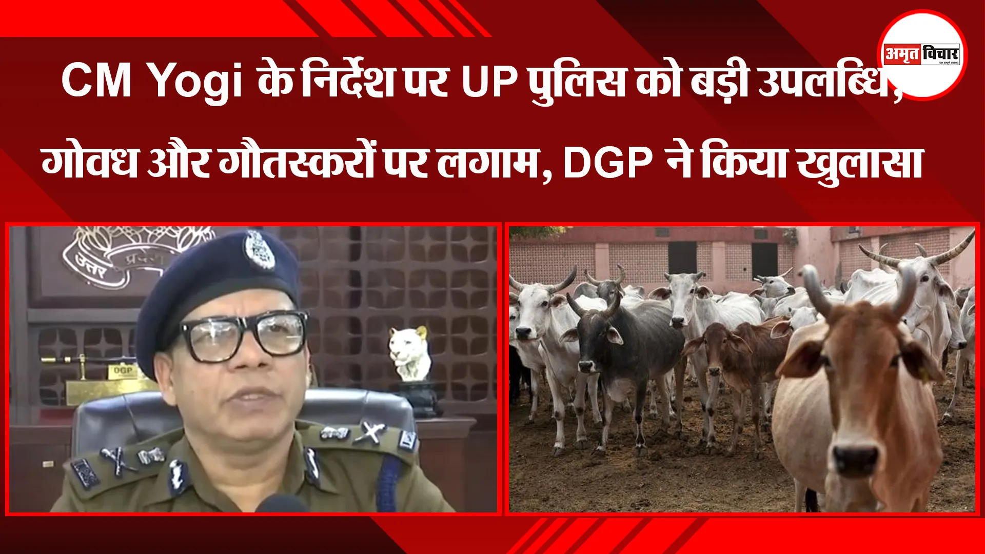 लखनऊ: CM Yogi के निर्देश पर UP पुलिस को बड़ी उपलब्धि, गोवध और गौतस्करों पर लगाम, DGP ने किया खुलासा