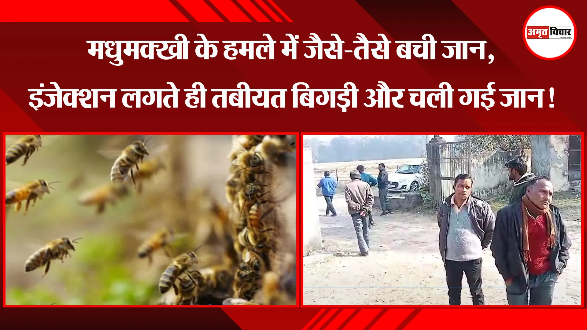 पीलीभीत: मधुमक्खी के हमले में जैसे-तैसे बची जान, इंजेक्शन लगते ही तबीयत बिगड़ी और चली गई जान!