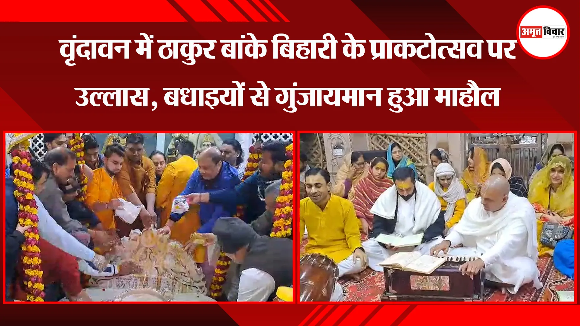 मथुरा: वृंदावन में ठाकुर बांके बिहारी के प्राकटोत्सव पर उल्लास, बधाइयों से गुंजायमान हुआ माहौल
