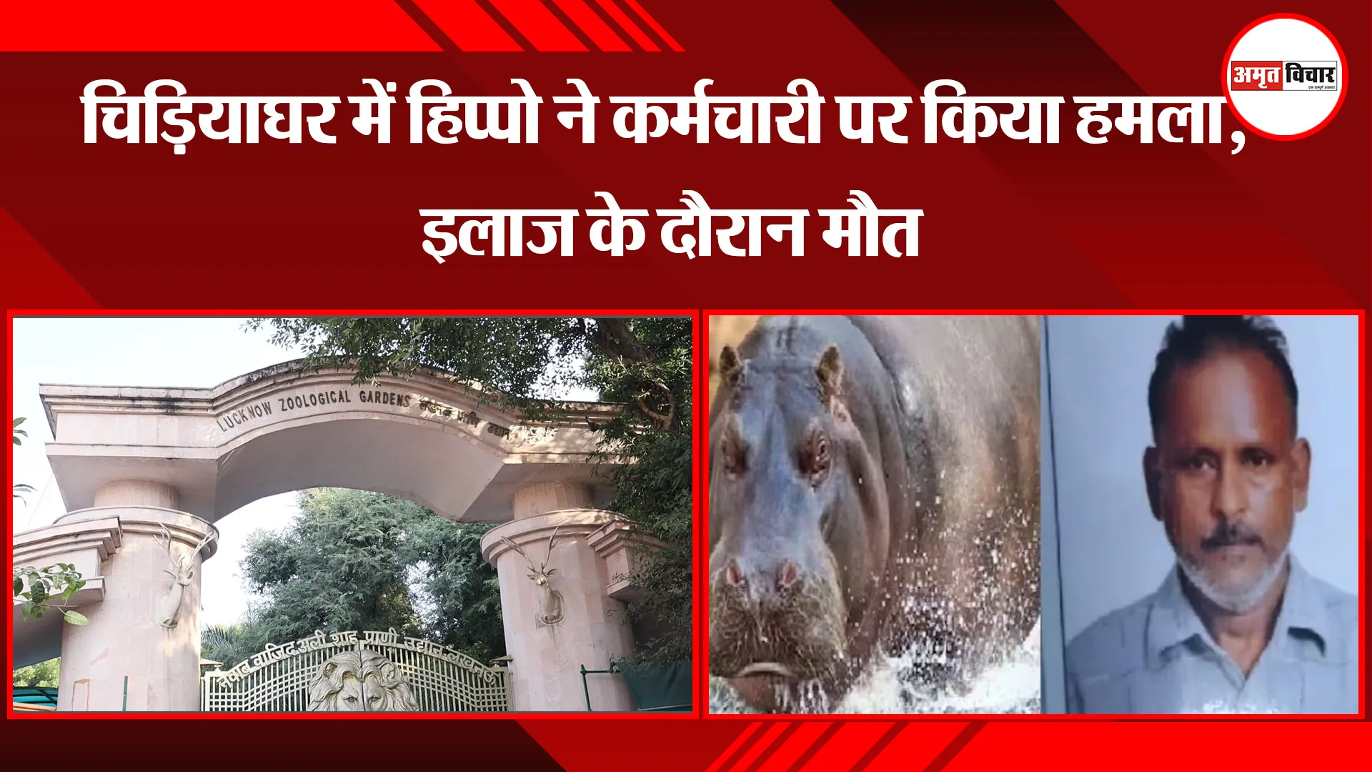 लखनऊ: चिड़ियाघर में हिप्पो ने कर्मचारी पर किया हमला, इलाज के दौरान मौत