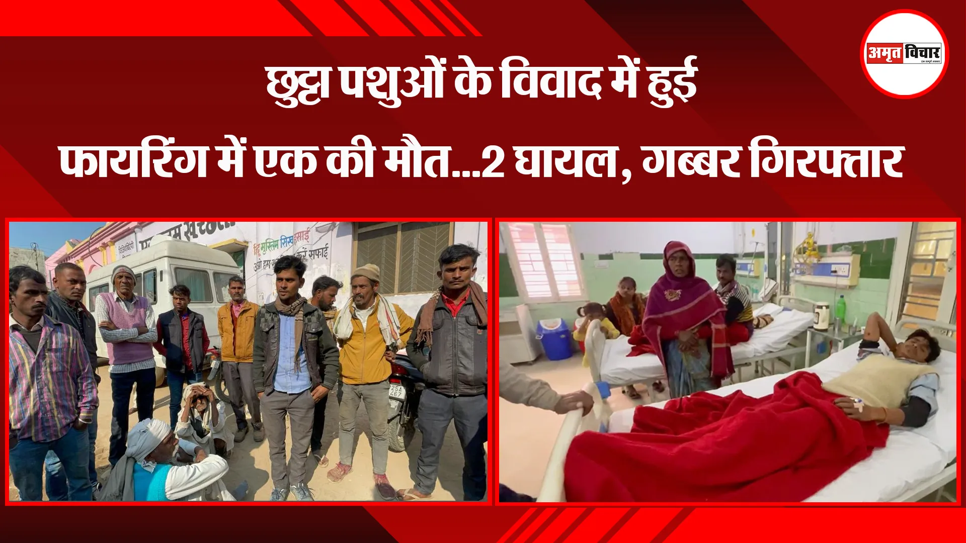 बरेली: छुट्टा पशुओं के विवाद में हुई फायरिंग में एक की मौत...2 घायल, गब्बर गिरफ्तार
