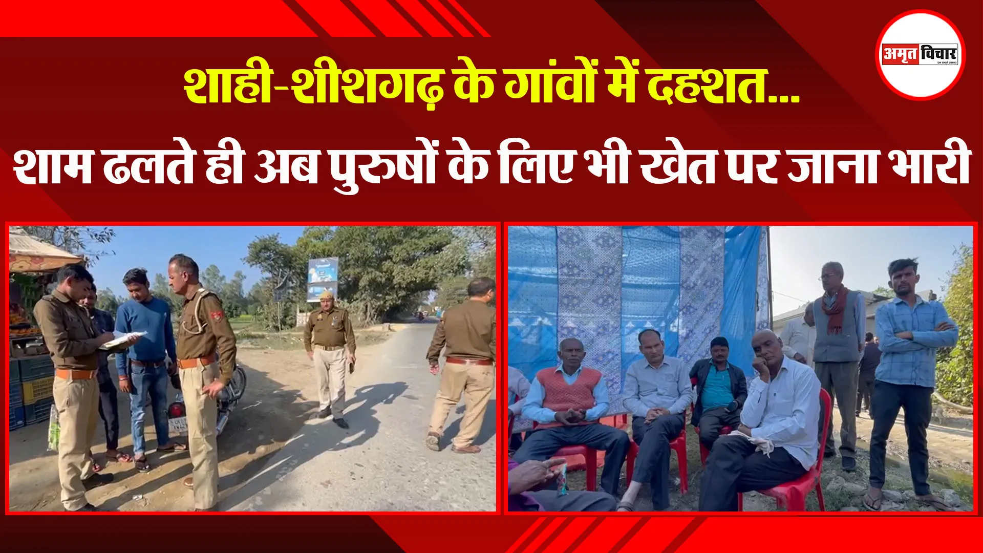 बरेली: शाही-शीशगढ़ के गांवों में दहशत...शाम ढलते ही अब पुरुषों के लिए भी खेत पर जाना भारी