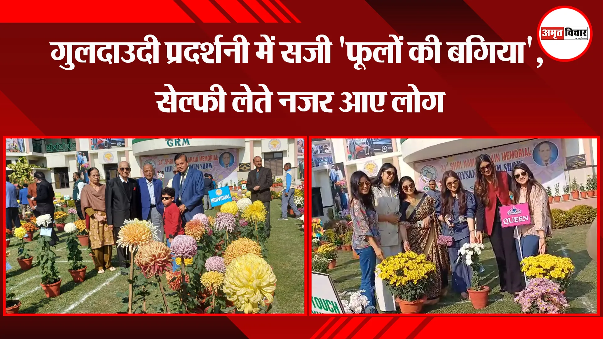बरेली: गुलदाउदी प्रदर्शनी में सजी 'फूलों की बगिया', सेल्फी लेते नजर आए लोग