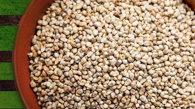 रामपुर: जिले के राशन कार्ड लाभार्थियों को अब फरवरी माह से मिलेगा बाजरा