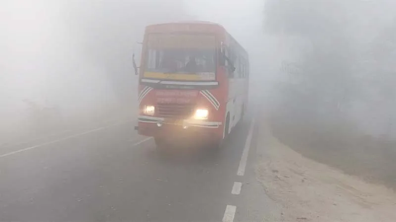 बाराबंकी: कोहरे की चपेट में आया पूरा जिला, रेंगते नजर आए वाहन, आलू किसान खुश