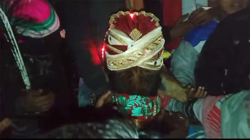 बहराइच में हुई अनोखी शादी, बछिया से विवाह रचाने श्रावस्ती से बारात लेकर पहुंचा बछवा, झूमकर नाचे बाराती, देखें video