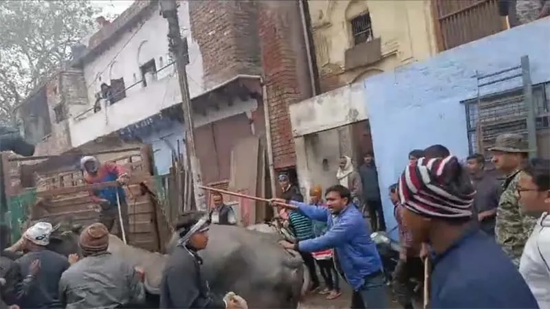 आगरा: दुस्साहस तो देखिये!, पहले अवैध तरीके से पशु पाले, नगर निगम की टीम पकड़ने पहुंची तो कर दिया पथराव, 2 घायल