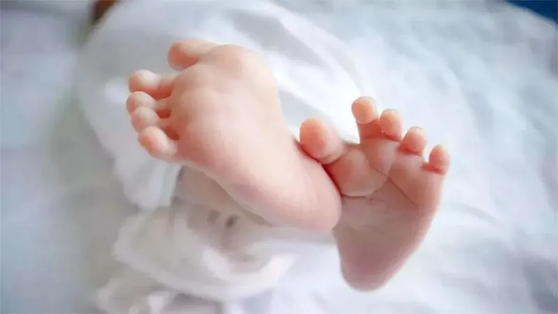 जालौन: कूड़े के ढेर पर पड़े नवजात को कुत्तों ने नोंचा, हड़कंप
