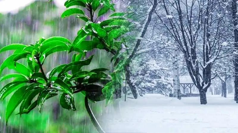 देहरादून: नए साल में मिल मिल सकता है बर्फबारी का तोहफा