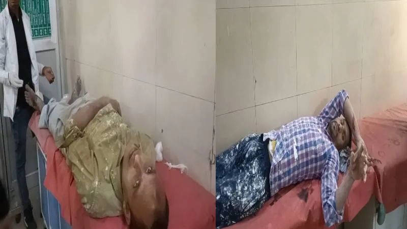 बहराइच: पाड़ गिरने से श्रमिक घायल, जिला अस्पताल में भर्ती
