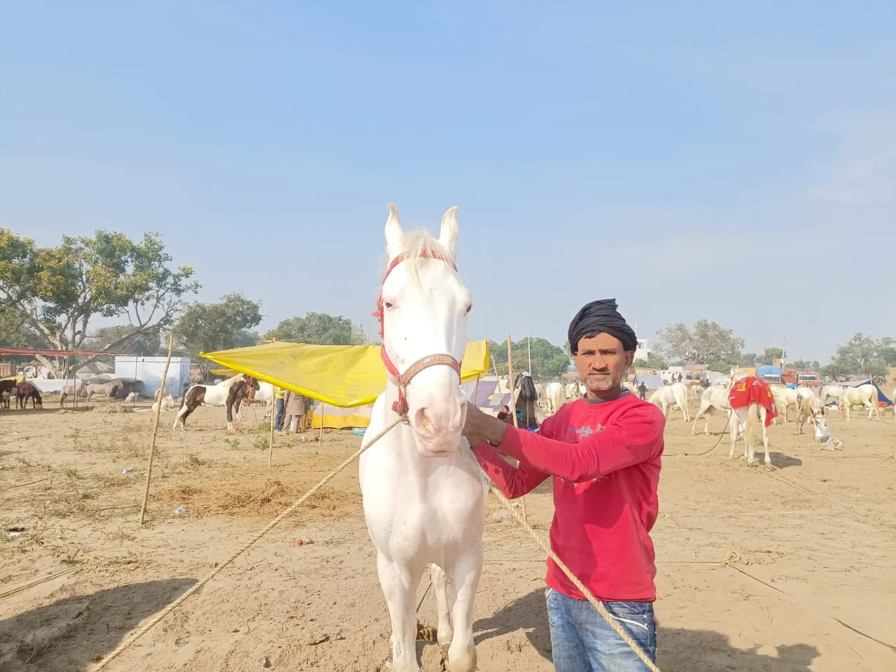 कासगंज: 104 वर्ष पुराना है विख्यात शिवराज पशु मेला, शुरू हुआ ध्वजारोहण के साथ 