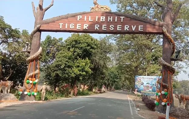 पीलीभीत टाइगर रिजर्व: सीमाओं का होगा डिजिटाइजेशन, जीपीएस से तय होंगी हदें, अफसरों ने शुरू की तैयारी