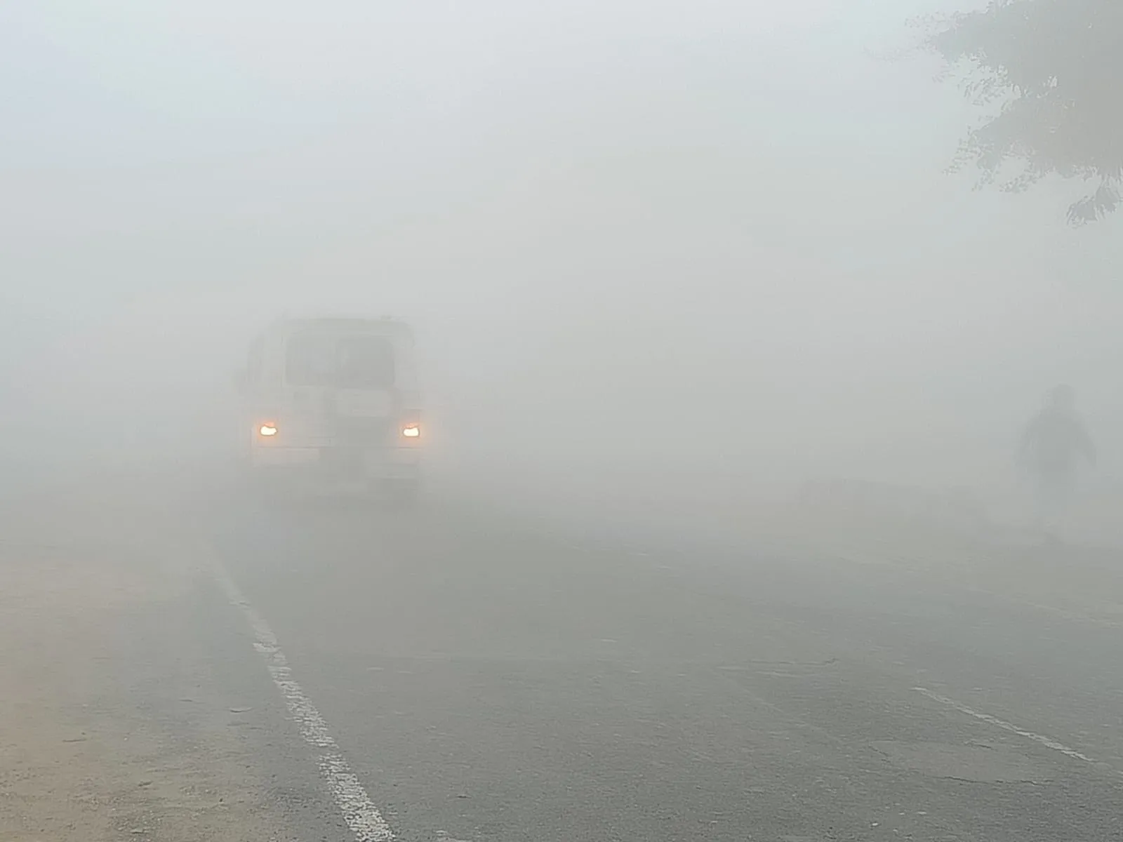 कासगंज: दिन भर कोहरे छाने से नहीं हुए सूर्य के दर्शन, दृश्यता कम होने से सड़कों पर ठहरे वाहनों के चक्के