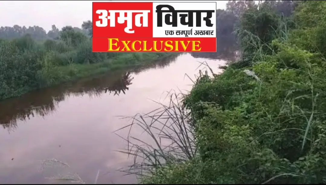 कासगंज: माघ मेले की तैयारी ने बढ़ा दी काली नदी की शुद्धता, ऑक्सीजन लेवल हुआ संतुलित