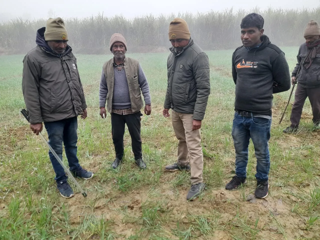 शाहजहांपुर: रायपुर में बाघिन ने सांड को बनाया निवाला, दहशत