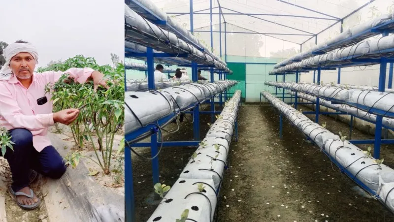 अयोध्या: इजरायल की तर्ज पर कर रहे हैं हाइड्रोपोनिक खेती, किसानों के लिए बने मिसाल 