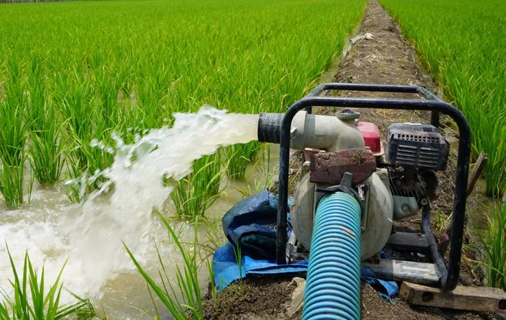 पीलीभीत: सिंचाई में महंगे डीजल और बिजली खर्च से मिलेगी निजात, जल्द आवेदन कर उठा सकेंगे लाभ..जानिए क्या है तैयारी 