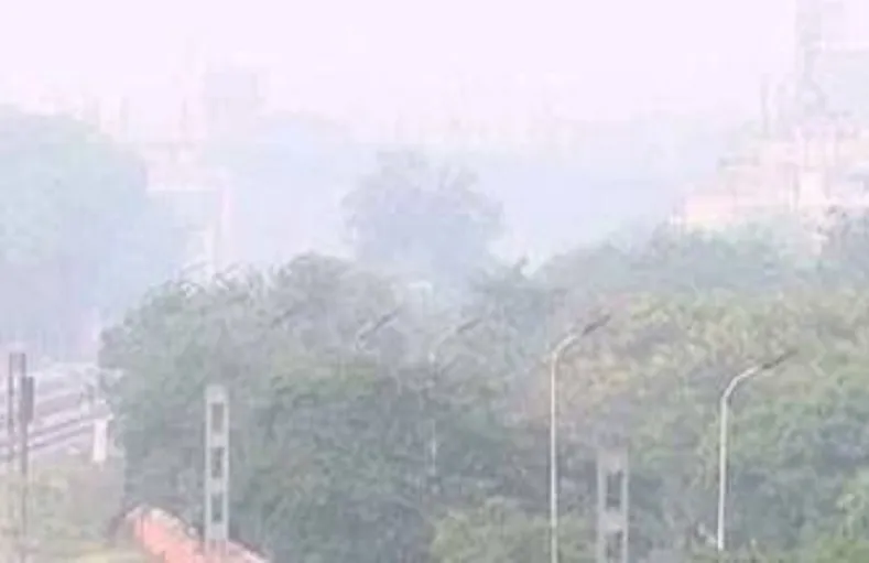 मुरादाबाद : जिगर कॉलोनी में खतरनाक स्तर पर पहुंचा प्रदूषण, सूचकांक 346 प्रतिघन मीटर 